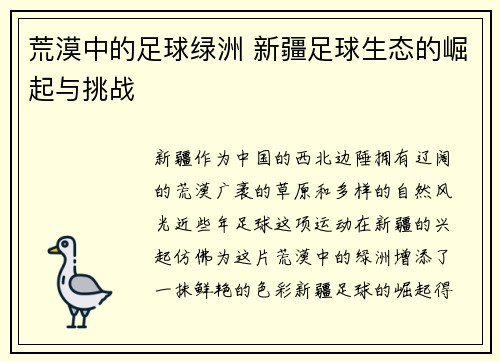荒漠中的足球绿洲 新疆足球生态的崛起与挑战